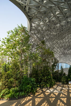 Aluminium, Tropen, Sdostasiatisch, Singapore University of Technology and Design (SUTD), Singapur,  Kronkolonie, August 1965, Unabhngigkeit, Advanced Architecture Laboratory, simulation, organic, structure, perforated aluminium, carpet, Teppich, Baunetz, The Future of Us