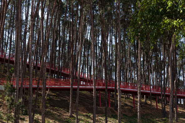 Alberto Simes Park, Pedro Paes, Eugenio Teixeira Borges, IDOM, So Jos dos Campos, Brasilien, 2016, Landschaftsplanung, Abenteuerpark, Baumwipfelpfad, Parkanlage, rot