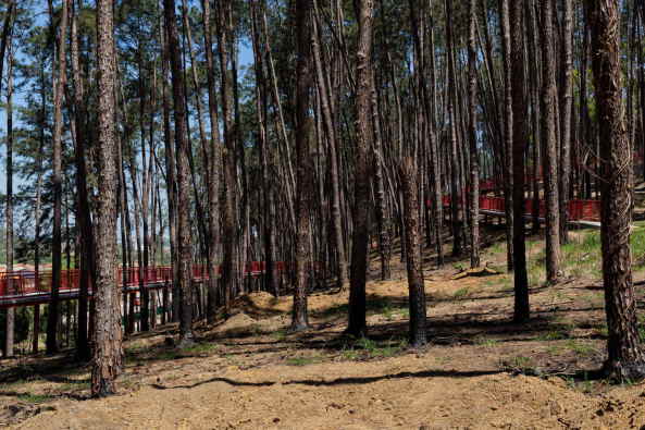 Alberto Simes Park, Pedro Paes, Eugenio Teixeira Borges, IDOM, So Jos dos Campos, Brasilien, 2016, Landschaftsplanung, Abenteuerpark, Baumwipfelpfad, Parkanlage, rot