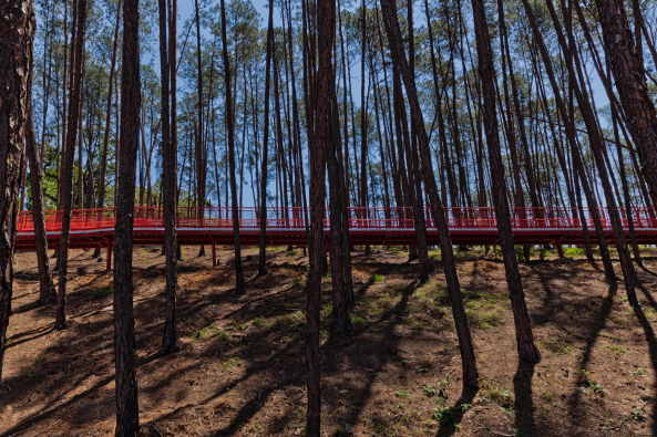 Alberto Simes Park, Pedro Paes, Eugenio Teixeira Borges, IDOM, So Jos dos Campos, Brasilien, 2016, Landschaftsplanung, Abenteuerpark, Baumwipfelpfad, Parkanlage, rot