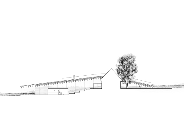 Arkitema Architects, Nationalpark Mols Bjerge, Dnemark, Wettbewerb, 2016, Besucherzentrum, Kuppel, in Planung, Parkgestaltung, Landschaftsplanung