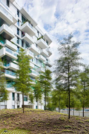 Wohnhaus, Frankreich, Boulogne-Billancourt, ZAC, Entwicklungsgebiet, Beckmann-NThp, ALIS, Locked-In-Syndrom, Locked-In-Syndrome, ZAC Seguin Rives de Seine, Paris, Javier Callejas, Olivier Amsellem, Christophe Valtin, enamelled glass