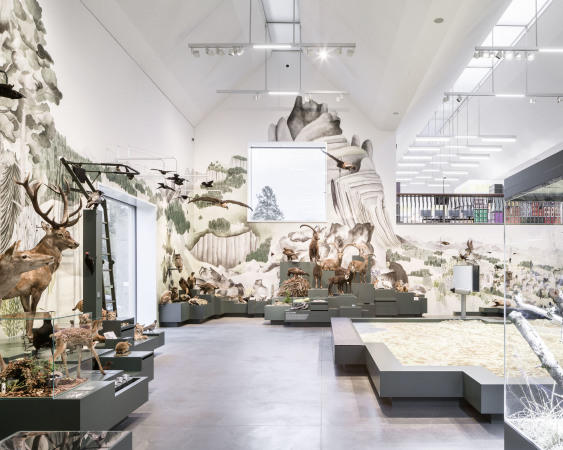 Beton, Museum, Michael Meier und Marius Hug Architekten (Z�rich), Armon Semadeni Architekten (Z�rich), Stil, Typologie, Museum, Saal, Museums�ra, Bruch, typology, style, dorische S�ule, Industriearchitektur, Einschnitte, geriffelt, Fensterquadrat, Roman Keller, Sankt Gallen