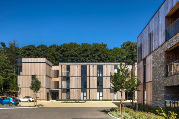 Baunetz, Meldung, Architektur, architecture, Morley von Sternberg, Stockwool, Welwyn, Clock House Gardens, garden city, housing, Wohnbebauung, Wohnen, residential, estate, Hof, courtyard, Holz, wood, brick, Ziegel, Autobahn, motorway, A1 (M), 2017, 2016, 2014