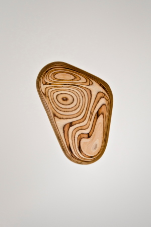 Baunetz, Meldung, Architektur, architecture, Rock Creek House, NADAAA, Washington, USA, Amerika, John Horner, residential, Wohnhaus, Umbau, renovation, brick, Ziegel, Backstein, bimorph, organic, organisch, Interior Design, Interieur, Multiplex, plywood, Holz, wood, Nader Tehrani, Katherine Faulkner