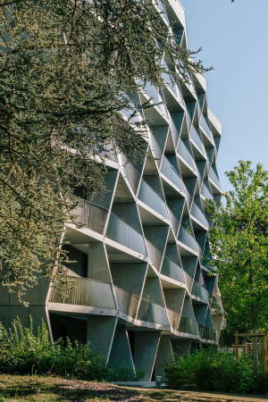 Architektur, Baunetz, Meldung, News, Architecture, Jolimont, NOMOS, Schweiz, Swiss, Genf, Geneva, Wohnungsbau, Wohnhaus, Haus, House, Apartmenthouse, Gartenstadt, Grn, Villa, Stadtvilla, Terrasse, BIenenstock, hive, Eisengelnde, Betonmodul, Fertigteil, Fassade, Animierung, Facettierte Fassade, Transparenz, Lichtspiel, Bodentiefe fenster, Wohnungstypen, zweiseitige belichtung, Auenterrasse, Garten, Gebude-villa, Building-villa, Imagen Subliminal, Miguel de Guzmn