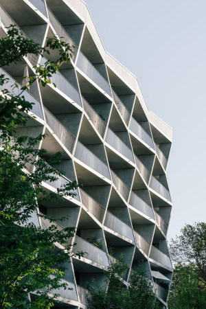 Architektur, Baunetz, Meldung, News, Architecture, Jolimont, NOMOS, Schweiz, Swiss, Genf, Geneva, Wohnungsbau, Wohnhaus, Haus, House, Apartmenthouse, Gartenstadt, Grn, Villa, Stadtvilla, Terrasse, BIenenstock, hive, Eisengelnde, Betonmodul, Fertigteil, Fassade, Animierung, Facettierte Fassade, Transparenz, Lichtspiel, Bodentiefe fenster, Wohnungstypen, zweiseitige belichtung, Auenterrasse, Garten, Gebude-villa, Building-villa, Imagen Subliminal, Miguel de Guzmn