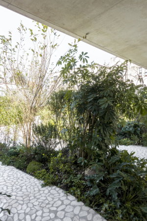 Christoph Zeller, omar munoz, juan carlos garza, moye, zeller&moye, casa verne, haus, wohnhaus, mexiko, mexico, mexico city, wei�, gr�n, garten, dachgarten, w�nde, walled garten, wohnzimmer, beton, stadt, urban, garten, marmor, holz, eiche, terrazzo