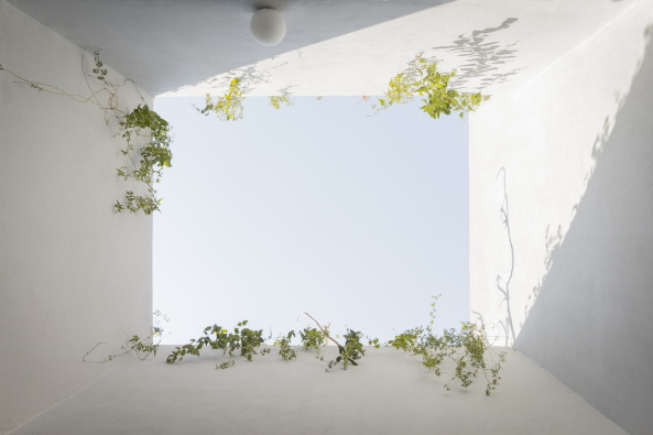 Christoph Zeller, omar munoz, juan carlos garza, moye, zeller&moye, casa verne, haus, wohnhaus, mexiko, mexico, mexico city, wei�, gr�n, garten, dachgarten, w�nde, walled garten, wohnzimmer, beton, stadt, urban, garten, marmor, holz, eiche, terrazzo