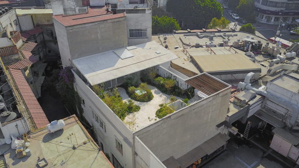 Christoph Zeller, omar munoz, juan carlos garza, moye, zeller&moye, casa verne, haus, wohnhaus, mexiko, mexico, mexico city, wei, grn, garten, dachgarten, wnde, walled garten, wohnzimmer, beton, stadt, urban, garten, marmor, holz, eiche, terrazzo