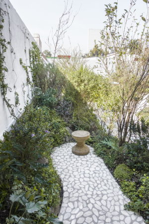 Christoph Zeller, omar munoz, juan carlos garza, moye, zeller&moye, casa verne, haus, wohnhaus, mexiko, mexico, mexico city, wei�, gr�n, garten, dachgarten, w�nde, walled garten, wohnzimmer, beton, stadt, urban, garten, marmor, holz, eiche, terrazzo
