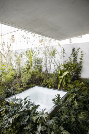 Christoph Zeller, omar munoz, juan carlos garza, moye, zeller&moye, casa verne, haus, wohnhaus, mexiko, mexico, mexico city, wei�, gr�n, garten, dachgarten, w�nde, walled garten, wohnzimmer, beton, stadt, urban, garten, marmor, holz, eiche, terrazzo