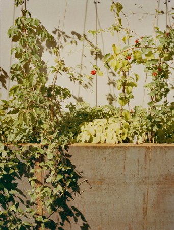 stockholm, schweden, reservoir, regen, wasser, regenrckhaltebecken, pflanzen, bepflanzt, rankpflanzen, haus, autobahn, hochstrae, neubau, beton, hang, grn, begrnt, begrnung, architektur, architecture, transit, transitraum, verkehr, verkehrsbauten, ON Arkitekter, ns24, Johan Fowellin