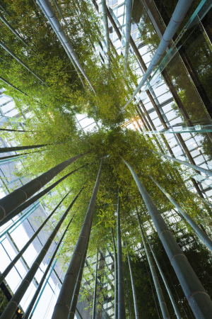 Baunetz, Architektur, Meldungen, Projekte, Seoul, Sdkorea, Goyang, Hyundai Motorstudio, Delugan Meissl, DMAA, Autohaus, Modern Premium, Autohaus, Showroom, Global Dealership Space Identity, modular, Markenzentrum, Themenpark