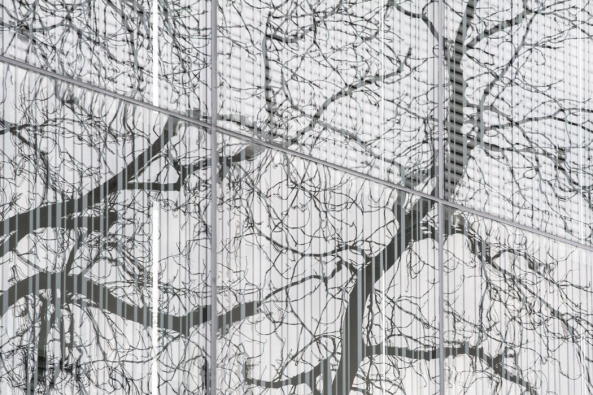 Maison de lHistoire europenne in Brssel erffnet