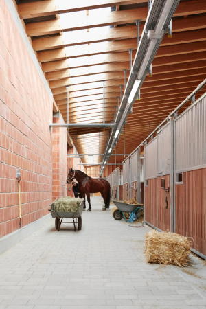 Neubau von Numrich Albrecht Klumpp