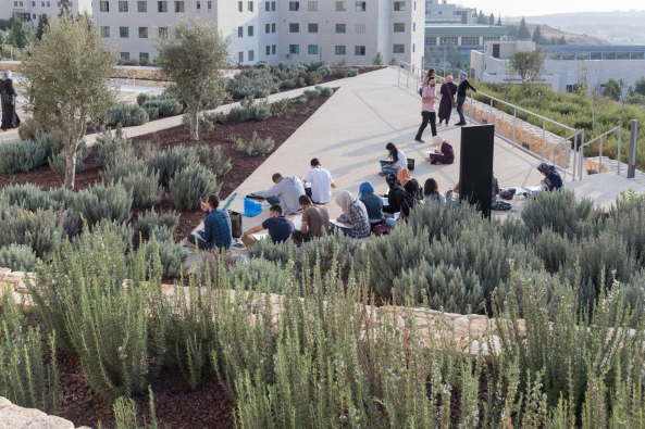 Architektur, Baunetz, Meldungen, Projekte, Palstina, Birzeit, Naher Osten, Heneghan Peng Architects, The Palestinian Museum, Westbank, Landschaft, Terrassen, Kaskade, Stufen, Feldstein, agricultural heritage, Amphitheater