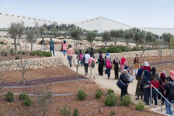 Architektur, Baunetz, Meldungen, Projekte, Palstina, Birzeit, Naher Osten, Heneghan Peng Architects, The Palestinian Museum, Westbank, Landschaft, Terrassen, Kaskade, Stufen, Feldstein, agricultural heritage, Amphitheater