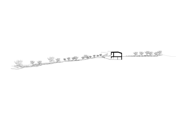 Architektur, Baunetz, Meldungen, Projekte, Palstina, Birzeit, Naher Osten, Heneghan Peng Architects, The Palestinian Museum, Westbank, Landschaft, Terrassen, Kaskade, Stufen, Feldstein, agricultural heritage, Amphitheater