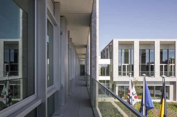 Baunetz, Meldung, news, Architektur, architecture, town hall, building, administrative center, Verwaltungsbau, Rathaus, Deinze, Belgien, Zentrum, Tony Fretton Architects, Belgium, London, Tony Fretton, Jim McKinney, Peter Cook