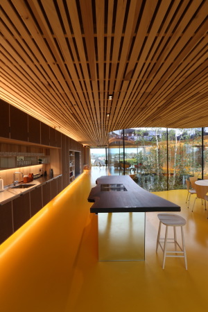 Baunetz, Architektur, architecture, 2017, Oldham, hospital, Krankenhaus, crosslaminated timber, CLT, kreuzweise verleimt, Brettschichtholz, tulipwood, Tulpenbaum, USA, Amerika, Maggie�s, cancer, Krebs, Holz, wood, Great Britain, Gro�britannien, England, Royal Oldham Hospital, Charles Jencks, dRMM, Alex de Rijke, Jasmine Sohi, Tony Barwell, Jon Cardwell, Petra Blaisse, Jinny Blom, Rupert Muldoon, Maggie Kendricks Jencks, landscape, piloti, St�tzen, Landschaft, Garten, garden, Krankheit, illness, Gesundheit, health