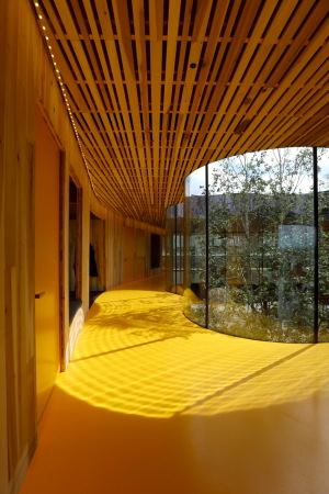 Baunetz, Architektur, architecture, 2017, Oldham, hospital, Krankenhaus, crosslaminated timber, CLT, kreuzweise verleimt, Brettschichtholz, tulipwood, Tulpenbaum, USA, Amerika, Maggies, cancer, Krebs, Holz, wood, Great Britain, Grobritannien, England, Royal Oldham Hospital, Charles Jencks, dRMM, Alex de Rijke, Jasmine Sohi, Tony Barwell, Jon Cardwell, Petra Blaisse, Jinny Blom, Rupert Muldoon, Maggie Kendricks Jencks, landscape, piloti, Sttzen, Landschaft, Garten, garden, Krankheit, illness, Gesundheit, health