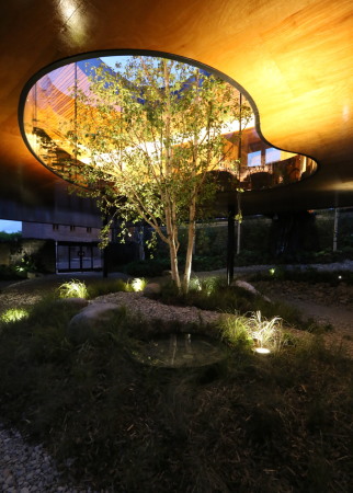 Baunetz, Architektur, architecture, 2017, Oldham, hospital, Krankenhaus, crosslaminated timber, CLT, kreuzweise verleimt, Brettschichtholz, tulipwood, Tulpenbaum, USA, Amerika, Maggies, cancer, Krebs, Holz, wood, Great Britain, Grobritannien, England, Royal Oldham Hospital, Charles Jencks, dRMM, Alex de Rijke, Jasmine Sohi, Tony Barwell, Jon Cardwell, Petra Blaisse, Jinny Blom, Rupert Muldoon, Maggie Kendricks Jencks, landscape, piloti, Sttzen, Landschaft, Garten, garden, Krankheit, illness, Gesundheit, health