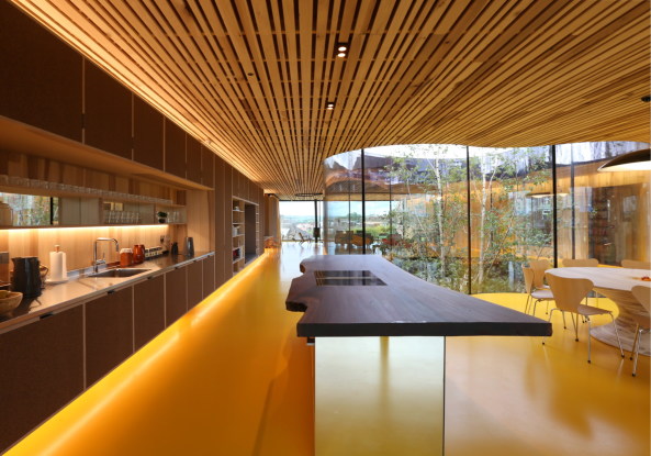 Baunetz, Architektur, architecture, 2017, Oldham, hospital, Krankenhaus, crosslaminated timber, CLT, kreuzweise verleimt, Brettschichtholz, tulipwood, Tulpenbaum, USA, Amerika, Maggies, cancer, Krebs, Holz, wood, Great Britain, Grobritannien, England, Royal Oldham Hospital, Charles Jencks, dRMM, Alex de Rijke, Jasmine Sohi, Tony Barwell, Jon Cardwell, Petra Blaisse, Jinny Blom, Rupert Muldoon, Maggie Kendricks Jencks, landscape, piloti, Sttzen, Landschaft, Garten, garden, Krankheit, illness, Gesundheit, health