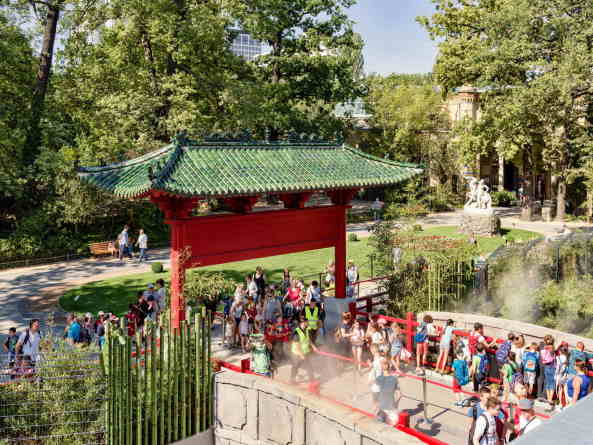 Baunetz, Architektur, Meldungen, Projekte, Tiere, Park, Landschaft, Berlin, 2017, Berliner Zoo, Panda Garden, dan perlman, emproc BPM, Bambus, Erlebnislandschaft, Pandagehege, Panda-Anlage, knstliche Landschaft, Bernd Blome