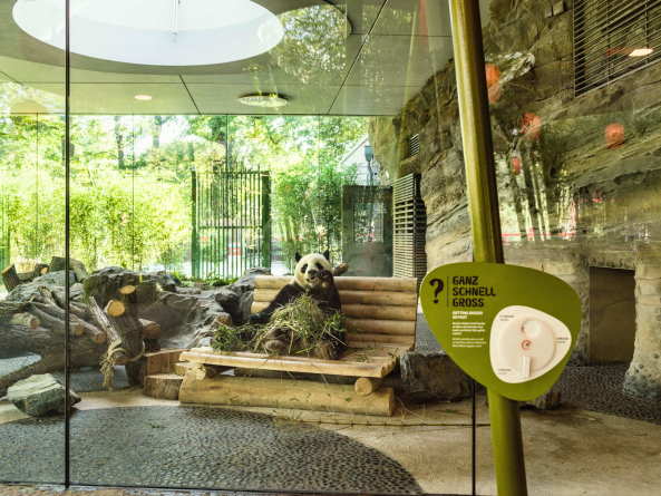 Baunetz, Architektur, Meldungen, Projekte, Tiere, Park, Landschaft, Berlin, 2017, Berliner Zoo, Panda Garden, dan perlman, emproc BPM, Bambus, Erlebnislandschaft, Pandagehege, Panda-Anlage, knstliche Landschaft, Bernd Blome