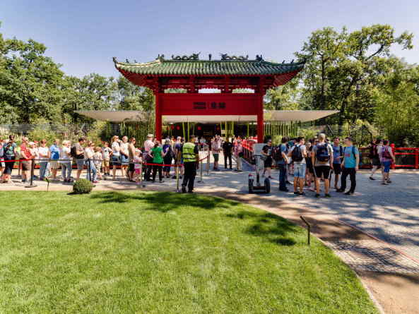 BaBaunetz, Architektur, Meldungen, Projekte, Tiere, Park, Landschaft, Berlin, 2017, Berliner Zoo, Panda Garden, dan perlman, emproc BPM, Bambus, Erlebnislandschaft, Pandagehege, Panda-Anlage, knstliche Landschaft, Bernd Blome