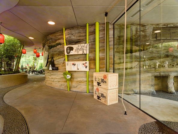 Baunetz, Architektur, Meldungen, Projekte, Tiere, Park, Landschaft, Berlin, 2017, Berliner Zoo, Panda Garden, dan perlman, emproc BPM, Bambus, Erlebnislandschaft, Pandagehege, Panda-Anlage, knstliche Landschaft, Bernd Blome