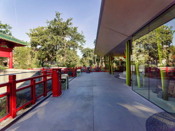 Baunetz, Architektur, Meldungen, Projekte, Tiere, Park, Landschaft, Berlin, 2017, Berliner Zoo, Panda Garden, dan perlman, emproc BPM, Bambus, Erlebnislandschaft, Pandagehege, Panda-Anlage, knstliche Landschaft, Bernd Blome