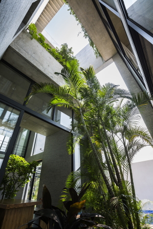 Wohnhaus in Ho-Chi-Minh-Stadt von VTN Architects
