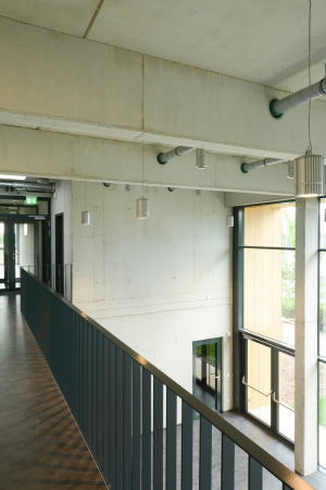 Baunetz, Meldung, Info, News, Architektur, architecture, reiter Architekten, Mannheim, Bro, Brogebude, Office Building, Verwaltung, funktionales Bauen, praktisch, OPM Fotografie