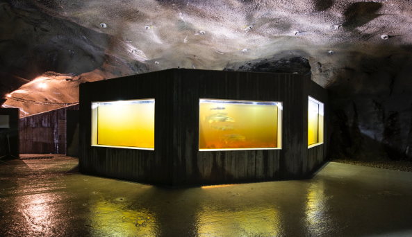 Baunetz, Architektur, Norwegen, Norway, Kvs, Kvsfossen, Laksetrapp, Srnorsk Laksesenter, Rever & Drage Architects, Besucherzentrum, Lachstreppe, Wasserfall, Lynga, Lyngdal, Vest-Agder, Tom Auger