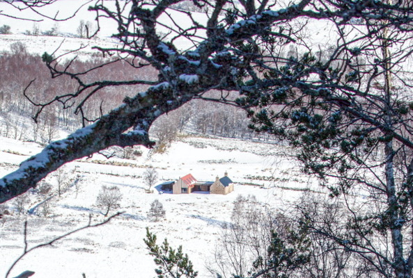 Moxon Architects Anbau in den Highlands