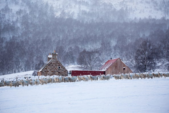 Moxon Architects Anbau in den Highlands
