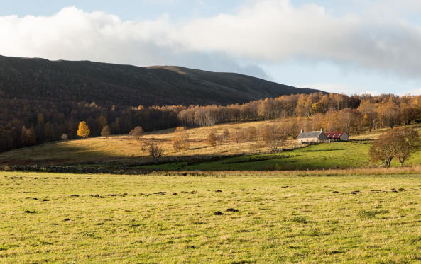 Moxon Architects Anbau in den Highlands