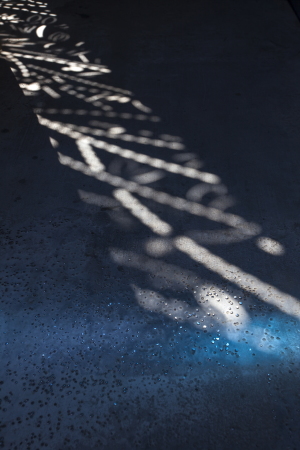 Wochenendhaus, Chalkidiki, Eva Sopeoglou, Im Schatten der Olivenb�ume, Griechenland, CNC, Olive Tree House, CNC-Stanzverfahren, METALCO, Bartlett School of Architecture in London, Wohnkomfort, B�ume, Bl�tter, Ferienhouse, Holiday Home, Retreat, Olives, Greece, Halbinsel