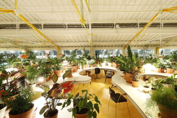 Co-working Raum von SelgasCano in Lissabon