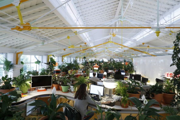 Co-working Raum von SelgasCano in Lissabon