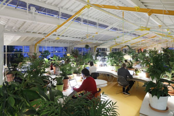 Co-working Raum von SelgasCano in Lissabon