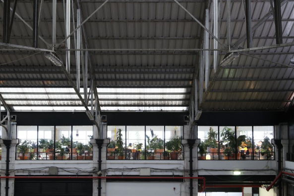 Co-working Raum von SelgasCano in Lissabon