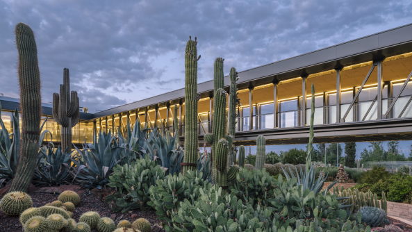 Baunetz, Architektur, Meldungen, Architekturprojekte, Spanien, Madrid, San Sebasti�n de los Reyes, garciagerman arquitectos, Jacobo Garc�a-Germ�n, Imagen Subliminal, Kakteencenter, Desert City, Gew�chshaus, Pflanzencenter, Pflanzenausstellung, Halle, billboard building, Leicht-Container, Spannkonstruktion, Oase, Stabwerk, tensegrity