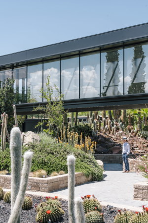 Baunetz, Architektur, Meldungen, Architekturprojekte, Spanien, Madrid, San Sebastin de los Reyes, garciagerman arquitectos, Jacobo Garca-Germn, Imagen Subliminal, Kakteencenter, Desert City, Gewchshaus, Pflanzencenter, Pflanzenausstellung, Halle, billboard building, Leicht-Container, Spannkonstruktion, Oase, Stabwerk, tensegrity