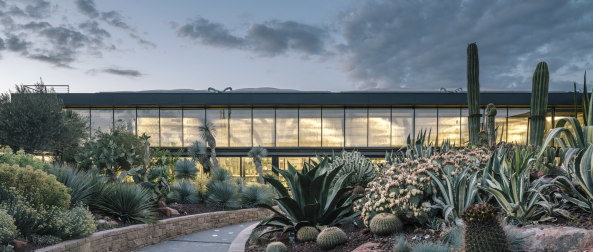 Baunetz, Architektur, Meldungen, Architekturprojekte, Spanien, Madrid, San Sebasti�n de los Reyes, garciagerman arquitectos, Jacobo Garc�a-Germ�n, Imagen Subliminal, Kakteencenter, Desert City, Gew�chshaus, Pflanzencenter, Pflanzenausstellung, Halle, billboard building, Leicht-Container, Spannkonstruktion, Oase, Stabwerk, tensegrity