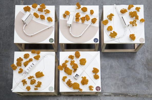 Campus, Masters, Baunetz, Meldung, Architektur, architecture, 2017, Student, students, Wettbewerb, Preis, Claus Anderhalten, Anderhalten Architekten, Vectorworks, DOM publishers, Bachelorarbeit, Masterarbeit, Diplomarbeit