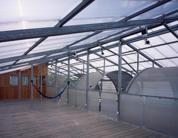 Atelier GOM, Studio Moa, tempor�re Architektur temporary architecture, neubau, Studio in Shanghai, West Bund, PVC Paneele, ephemeral, 2015, 2017, China, chinese, art, Kunst, Ausstellungen, exhibition, architecture