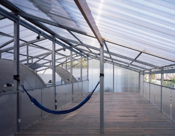 Atelier GOM, Studio Moa, tempor�re Architektur temporary architecture, neubau, Studio in Shanghai, West Bund, PVC Paneele, ephemeral, 2015, 2017, China, chinese, art, Kunst, Ausstellungen, exhibition, architecture